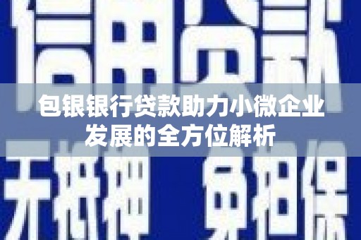 旬阳包银银行贷款助力小微企业发展的全方位解析