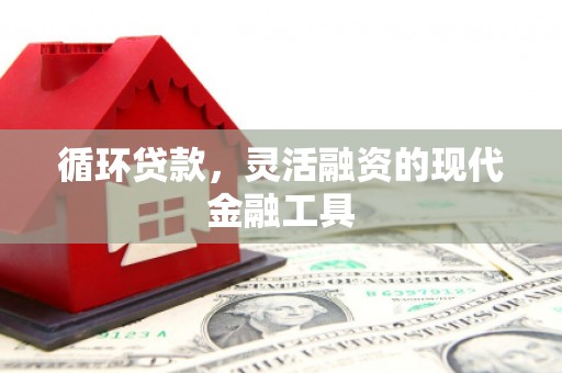 旬阳循环贷款，灵活融资的现代金融工具