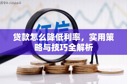 旬阳贷款怎么降低利率，实用策略与技巧全解析