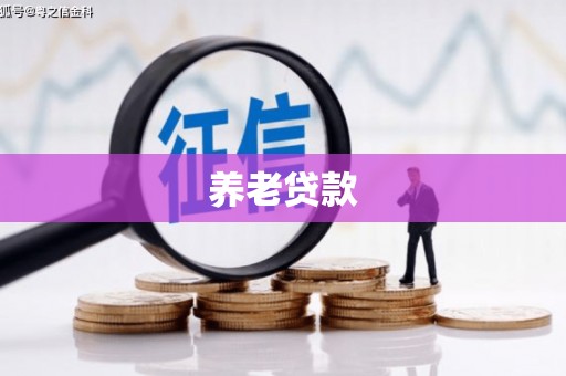 旬阳养老贷款