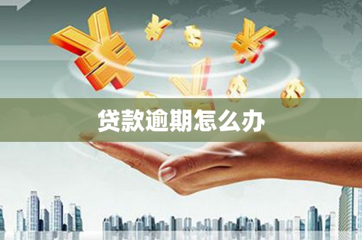 旬阳贷款逾期怎么办