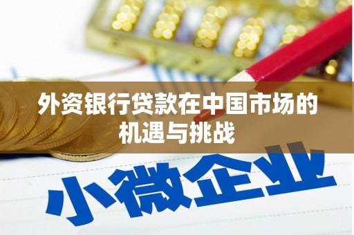 旬阳外资银行贷款在中国市场的机遇与挑战