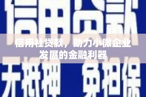 旬阳信用社贷款，助力小微企业发展的金融利器