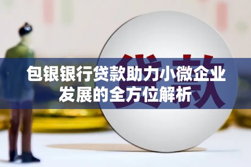 旬阳包银银行贷款助力小微企业发展的全方位解析