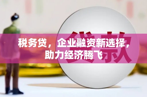 旬阳税务贷，企业融资新选择，助力经济腾飞