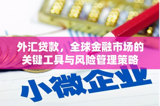 旬阳外汇贷款，全球金融市场的关键工具与风险管理策略