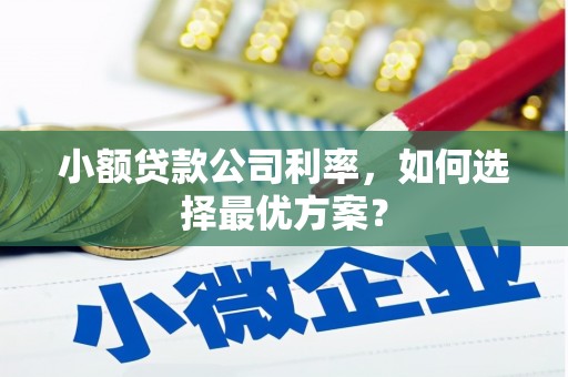 旬阳小额贷款公司利率，如何选择最优方案？