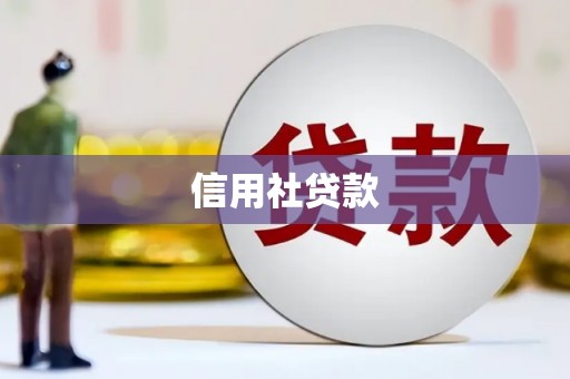 旬阳信用社贷款