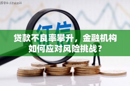 旬阳贷款不良率攀升，金融机构如何应对风险挑战？