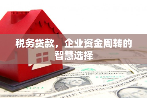 旬阳税务贷款，企业资金周转的智慧选择