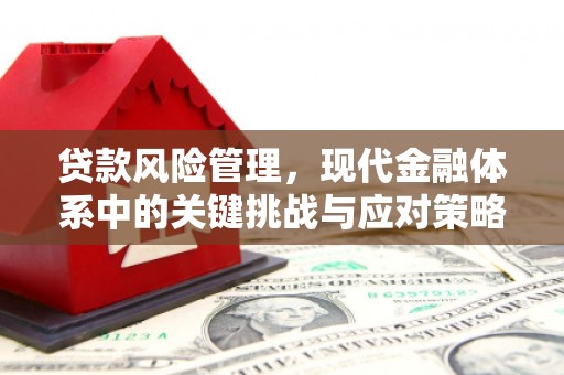 旬阳贷款风险管理，现代金融体系中的关键挑战与应对策略