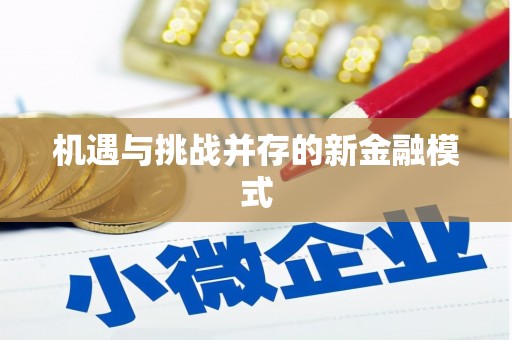 旬阳机遇与挑战并存的新金融模式