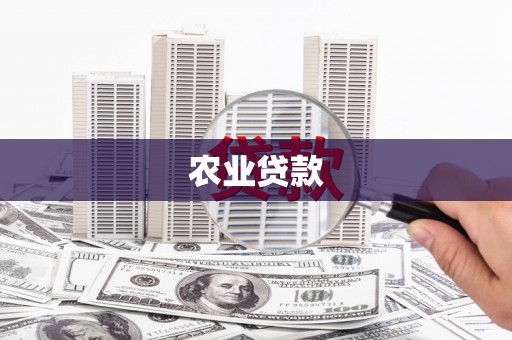 旬阳农业贷款