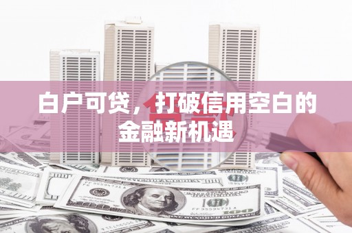 旬阳白户可贷，打破信用空白的金融新机遇