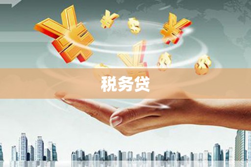 旬阳税务贷