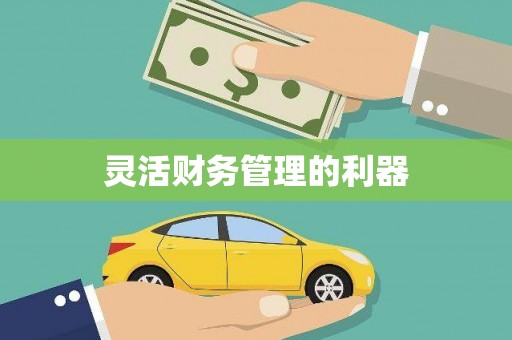 旬阳灵活财务管理的利器