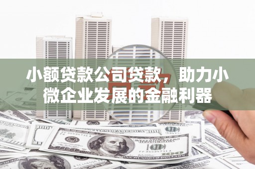 旬阳小额贷款公司贷款，助力小微企业发展的金融利器