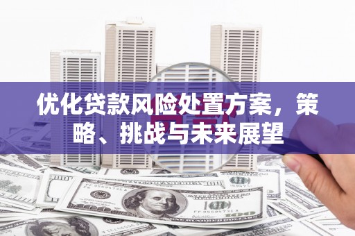 旬阳优化贷款风险处置方案，策略、挑战与未来展望