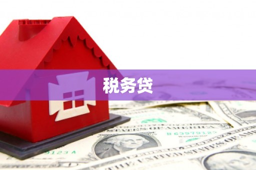 旬阳税务贷