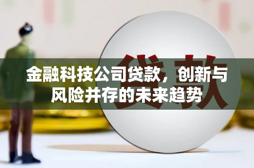 旬阳金融科技公司贷款，创新与风险并存的未来趋势