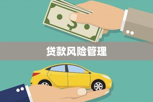 旬阳贷款风险管理