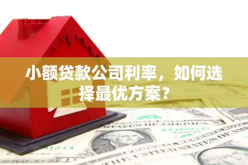旬阳小额贷款公司利率，如何选择最优方案？