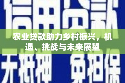 旬阳农业贷款助力乡村振兴，机遇、挑战与未来展望