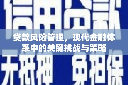 旬阳贷款风险管理，现代金融体系中的关键挑战与策略