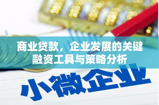 旬阳商业贷款，企业发展的关键融资工具与策略分析