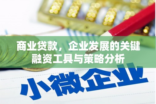 旬阳商业贷款，企业发展的关键融资工具与策略分析