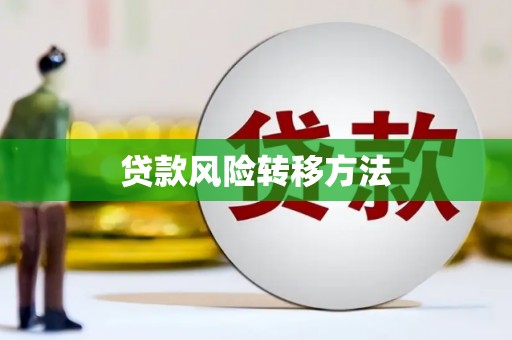 旬阳贷款风险转移方法