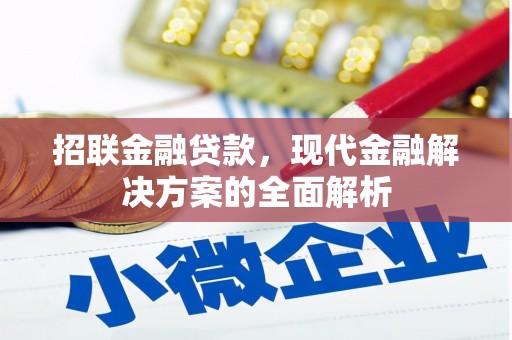 旬阳招联金融贷款，现代金融解决方案的全面解析
