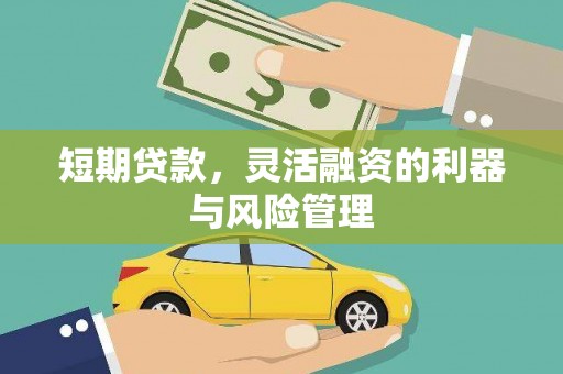 旬阳短期贷款，灵活融资的利器与风险管理