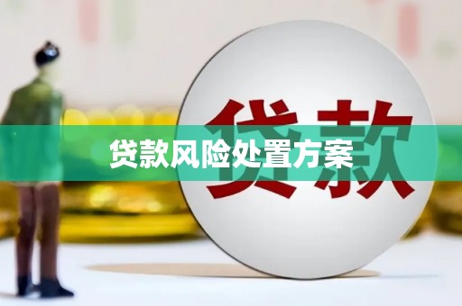 旬阳贷款风险处置方案