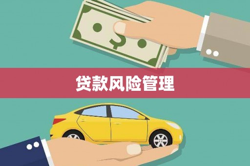 旬阳贷款风险管理
