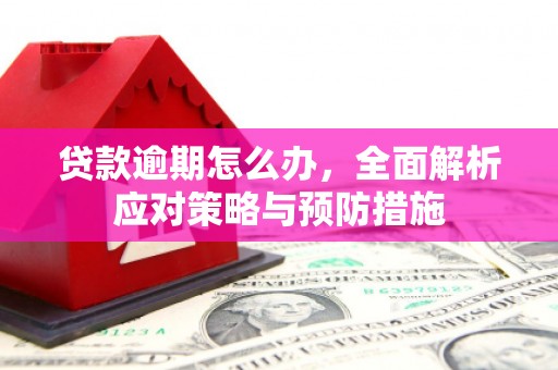 旬阳贷款逾期怎么办，全面解析应对策略与预防措施