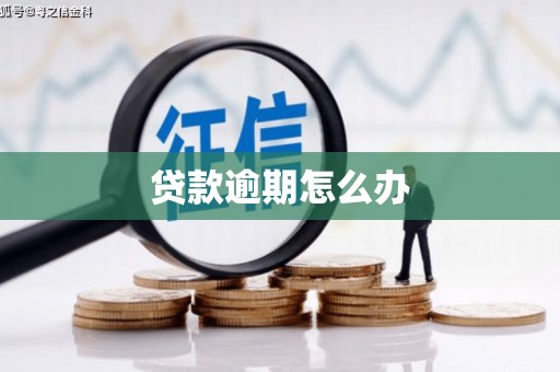 旬阳贷款逾期怎么办
