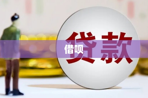 旬阳借呗