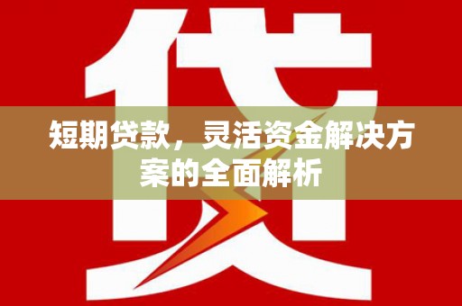 旬阳短期贷款，灵活资金解决方案的全面解析