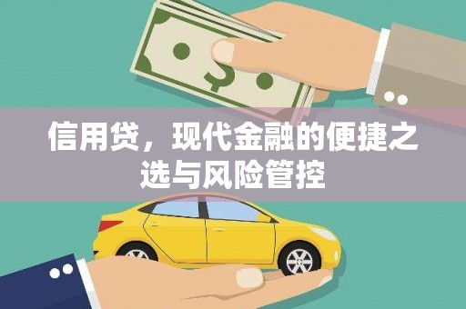 旬阳信用贷，现代金融的便捷之选与风险管控