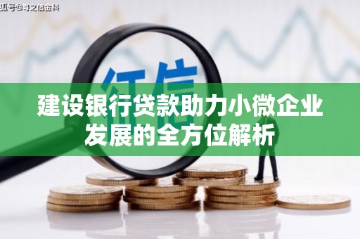 旬阳建设银行贷款助力小微企业发展的全方位解析