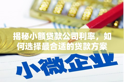 旬阳揭秘小额贷款公司利率，如何选择最合适的贷款方案
