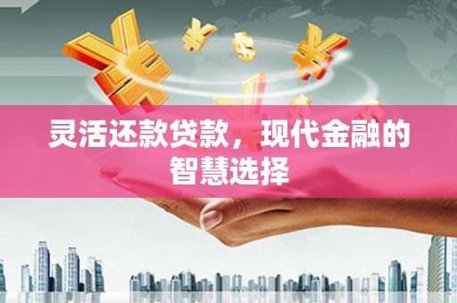 旬阳灵活还款贷款，现代金融的智慧选择