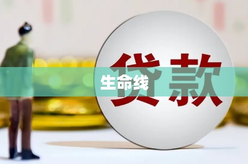 旬阳生命线