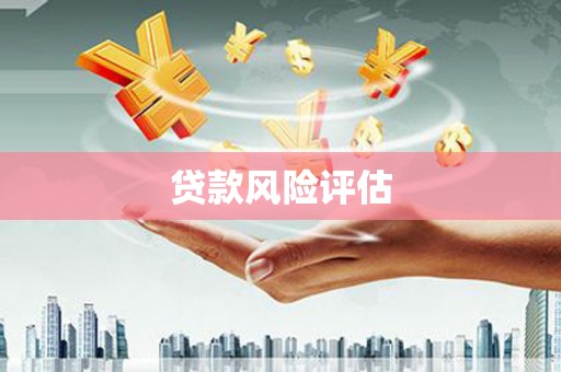 旬阳贷款风险评估