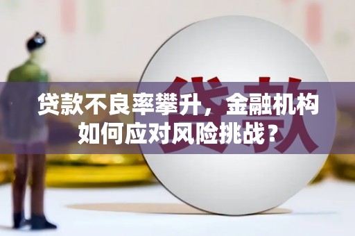 旬阳贷款不良率攀升，金融机构如何应对风险挑战？