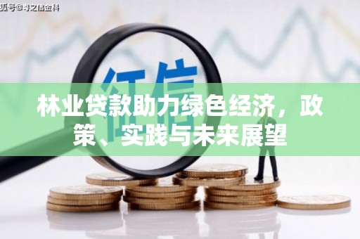 旬阳林业贷款助力绿色经济，政策、实践与未来展望