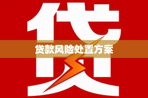 旬阳贷款风险处置方案