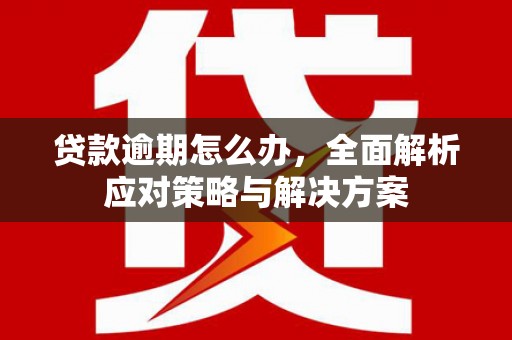 旬阳贷款逾期怎么办，全面解析应对策略与解决方案