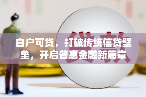 旬阳白户可贷，打破传统信贷壁垒，开启普惠金融新篇章